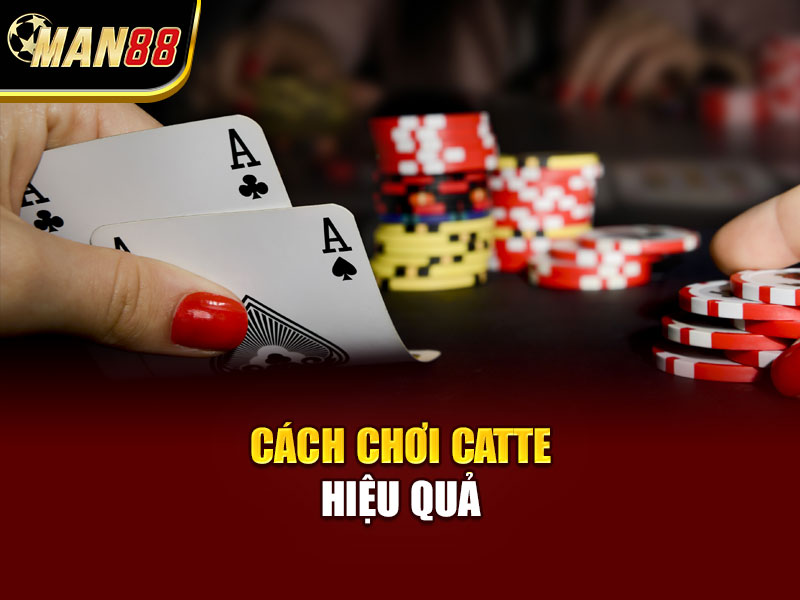 Cách Chơi Catte Hiệu Quả